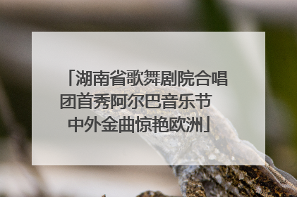 湖南省歌舞剧院合唱团首秀阿尔巴音乐节 中外金曲惊艳欧洲