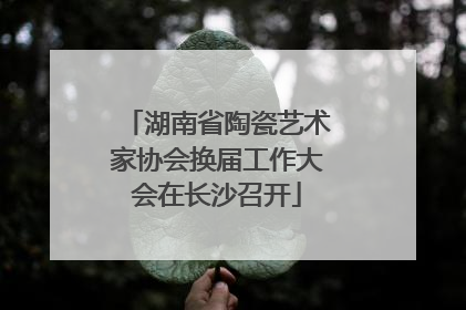 湖南省陶瓷艺术家协会换届工作大会在长沙召开