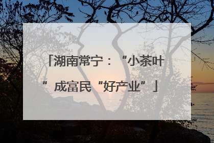 湖南常宁：“小茶叶”成富民“好产业”