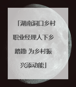 湖南洞口乡村职业经理人下乡踏勘 为乡村振兴添动能