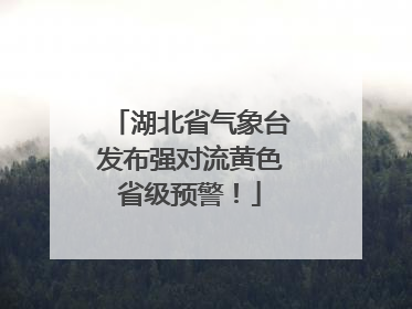 湖北省气象台发布强对流黄色省级预警！