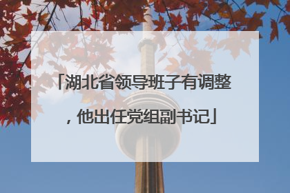湖北省领导班子有调整，他出任党组副书记