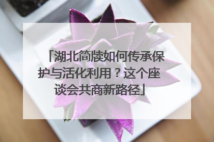 湖北简牍如何传承保护与活化利用？这个座谈会共商新路径