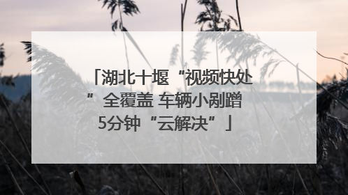 湖北十堰“视频快处”全覆盖 车辆小剐蹭5分钟“云解决”