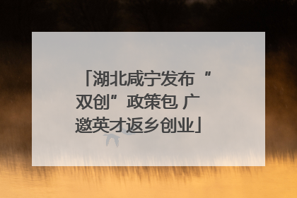 湖北咸宁发布“双创”政策包 广邀英才返乡创业