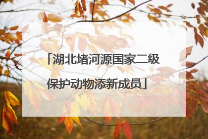 湖北堵河源国家二级保护动物添新成员