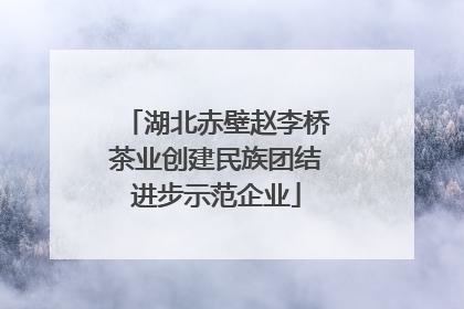 湖北赤壁赵李桥茶业创建民族团结进步示范企业