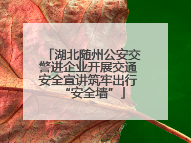 湖北随州公安交警进企业开展交通安全宣讲筑牢出行“安全墙”