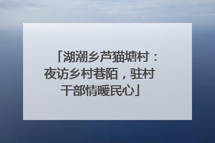 湖潮乡芦猫塘村：夜访乡村巷陌，驻村干部情暖民心