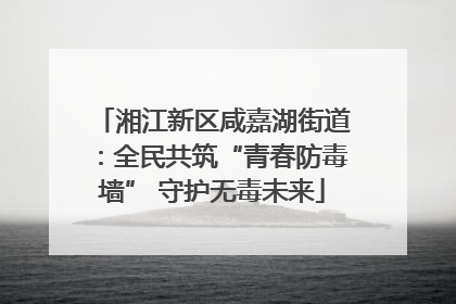 湘江新区咸嘉湖街道：全民共筑“青春防毒墙” 守护无毒未来