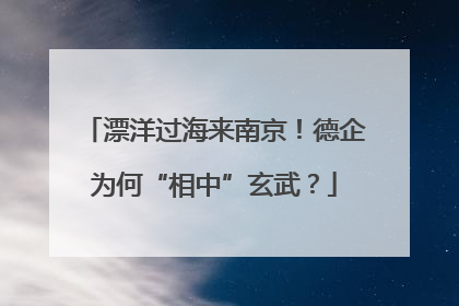 漂洋过海来南京！德企为何“相中”玄武？