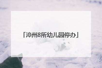 漳州8所幼儿园停办