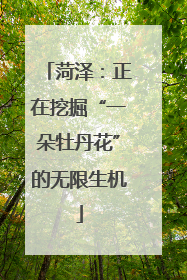 菏泽：正在挖掘“一朵牡丹花”的无限生机