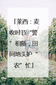 莱西：麦收时节“警”相随，田间地头护“农”忙