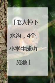 老人掉下水沟，4个小学生成功施救