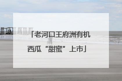 老河口王府洲有机西瓜“甜蜜”上市