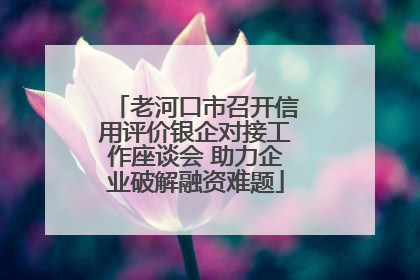 老河口市召开信用评价银企对接工作座谈会 助力企业破解融资难题