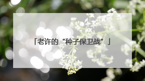 老许的“种子保卫战”