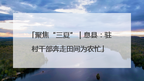 聚焦“三夏”｜息县：驻村干部奔走田间为农忙