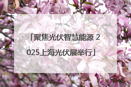 聚焦光伏智慧能源 2025上海光伏展举行