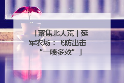 聚焦北大荒｜延军农场：飞防出击 “一喷多效”
