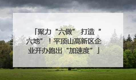 聚力“六做” 打造“六地”！平顶山高新区企业开办跑出“加速度”