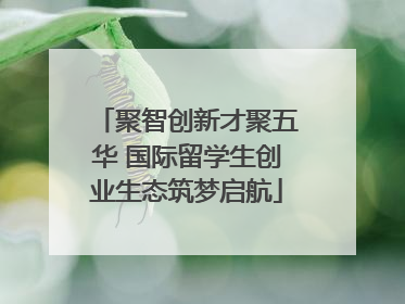 聚智创新才聚五华 国际留学生创业生态筑梦启航