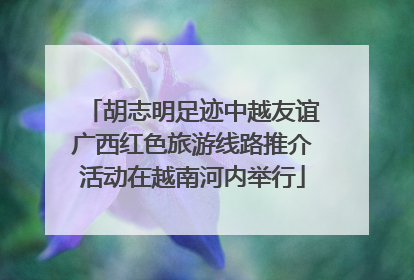 胡志明足迹中越友谊广西红色旅游线路推介活动在越南河内举行
