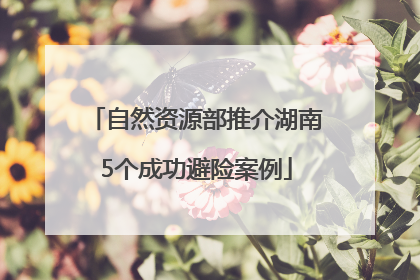 自然资源部推介湖南5个成功避险案例