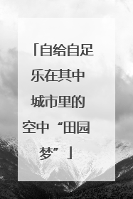 自给自足 乐在其中 城市里的空中“田园梦”