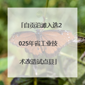 自贡沿滩入选2025年省工业技术改造试点县