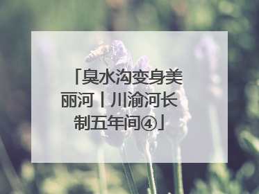 臭水沟变身美丽河丨川渝河长制五年间④