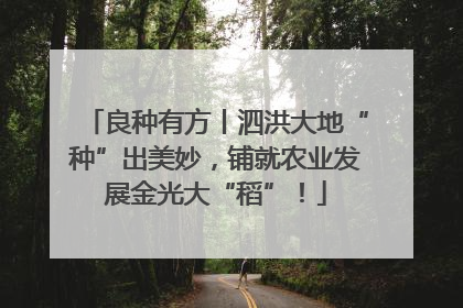良种有方丨泗洪大地“种”出美妙，铺就农业发展金光大“稻”！