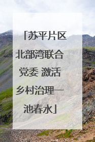 苏平片区北部湾联合党委 激活乡村治理一池春水