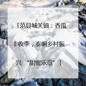 范县城关镇：香瓜丰收季，奏响乡村振兴 “甜蜜乐章”