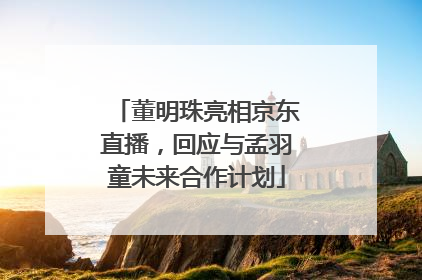 董明珠亮相京东直播，回应与孟羽童未来合作计划