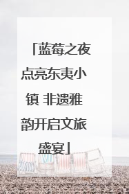 蓝莓之夜点亮东夷小镇 非遗雅韵开启文旅盛宴
