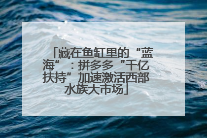 藏在鱼缸里的“蓝海”：拼多多“千亿扶持”加速激活西部水族大市场