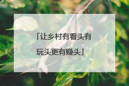 让乡村有看头有玩头更有赚头