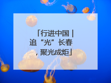 行进中国｜追“光”长春，聚光成炬