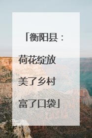 衡阳县：荷花绽放 美了乡村 富了口袋