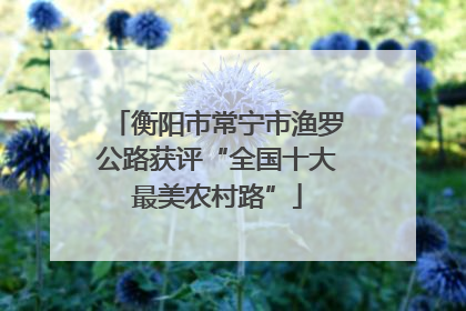 衡阳市常宁市渔罗公路获评“全国十大最美农村路”