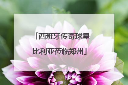 西班牙传奇球星 比利亚莅临郑州