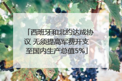 西班牙和北约达成协议 无须提高军费开支至国内生产总值5%