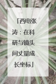 西电张涛：在科研与镜头间丈量成长坐标