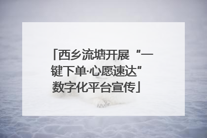西乡流塘开展“一键下单·心愿速达”数字化平台宣传