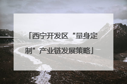 西宁开发区“量身定制”产业链发展策略