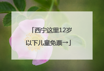 西宁这里12岁以下儿童免票→