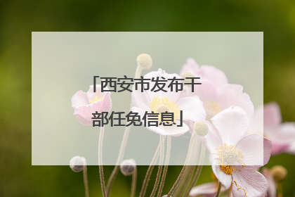 西安市发布干部任免信息