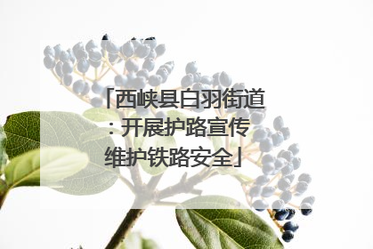 西峡县白羽街道：开展护路宣传 维护铁路安全